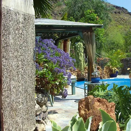 Apartment Holiday Jardin Botanico Baranco De Ayagaures - Lpa03012-ayb Maspalomas (Gran Canaria)