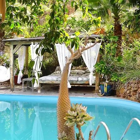 Holiday Jardin Botanico Baranco De Ayagaures - Lpa03012-ayb *